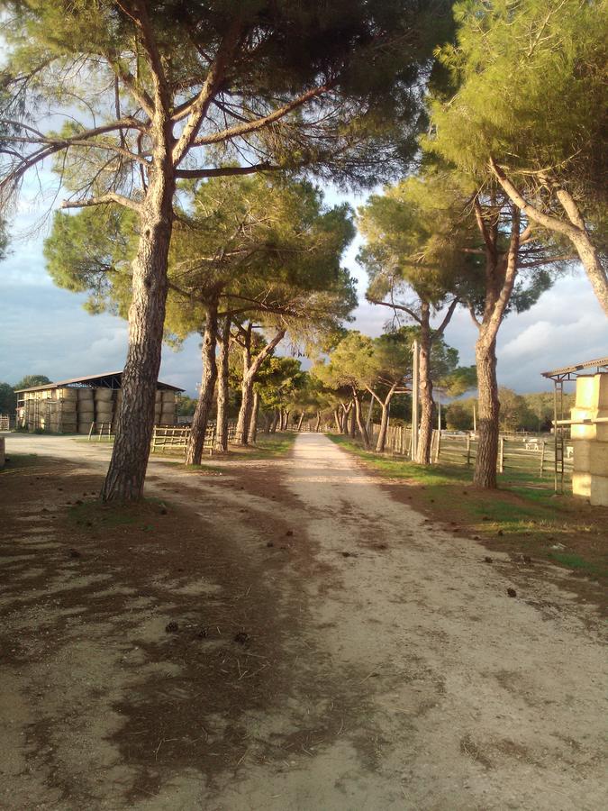 Biocampus La Roccaccia - Universita' Agraria Di Тарквиния Экстерьер фото