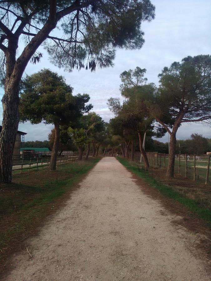 Biocampus La Roccaccia - Universita' Agraria Di Тарквиния Экстерьер фото