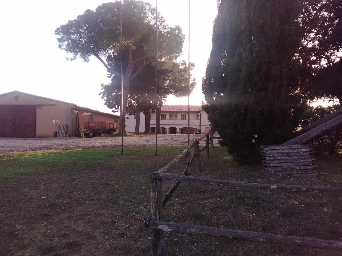 Biocampus La Roccaccia - Universita' Agraria Di Тарквиния Экстерьер фото