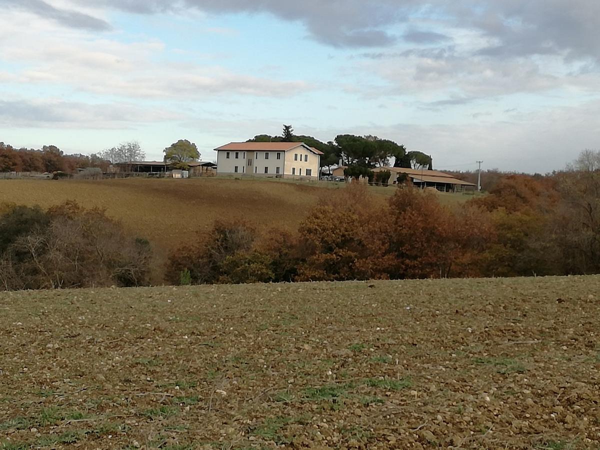 Biocampus La Roccaccia - Universita' Agraria Di Тарквиния Экстерьер фото