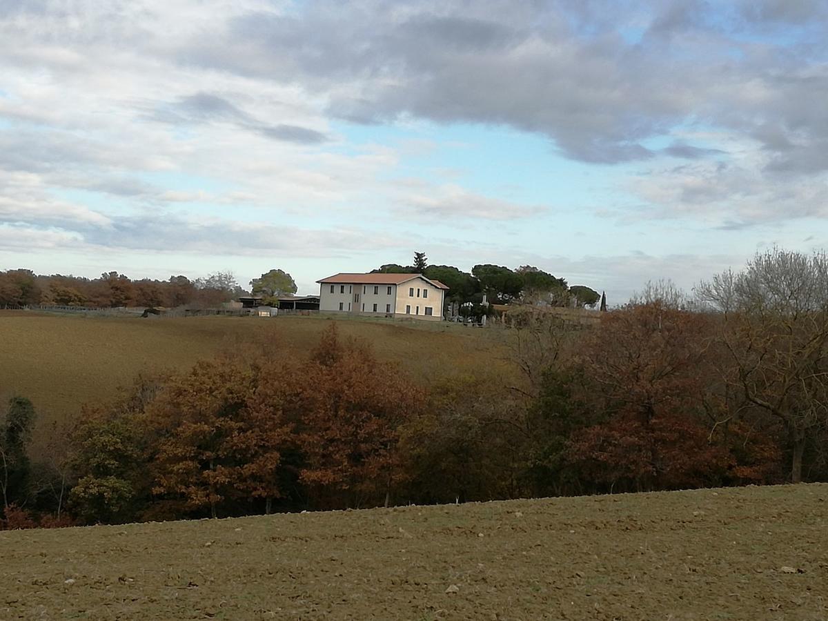 Biocampus La Roccaccia - Universita' Agraria Di Тарквиния Экстерьер фото
